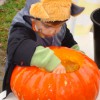 Holloween 2007